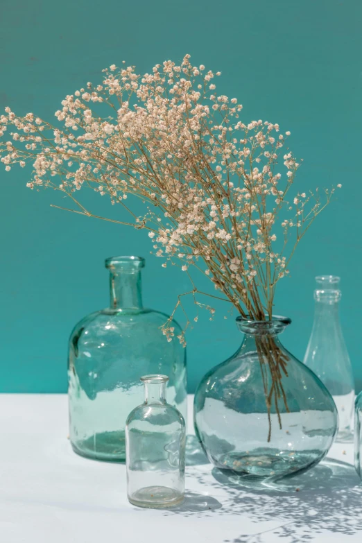 a group of vases sitting on top of a table, cyan photographic backdrop, apothecary, gypsophila, slide show