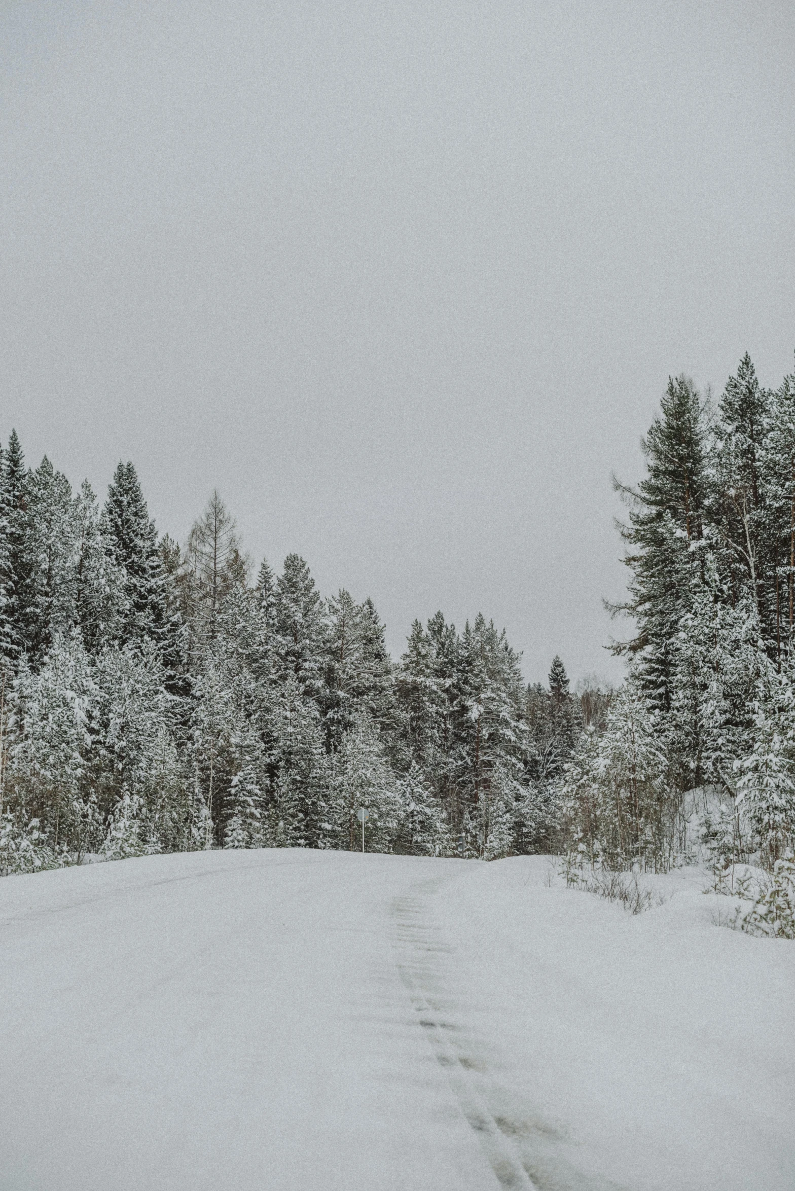 a person riding skis down a snow covered slope, inspired by Eero Järnefelt, hurufiyya, road in a forest road, today\'s featured photograph 4k, gray sky, panorama