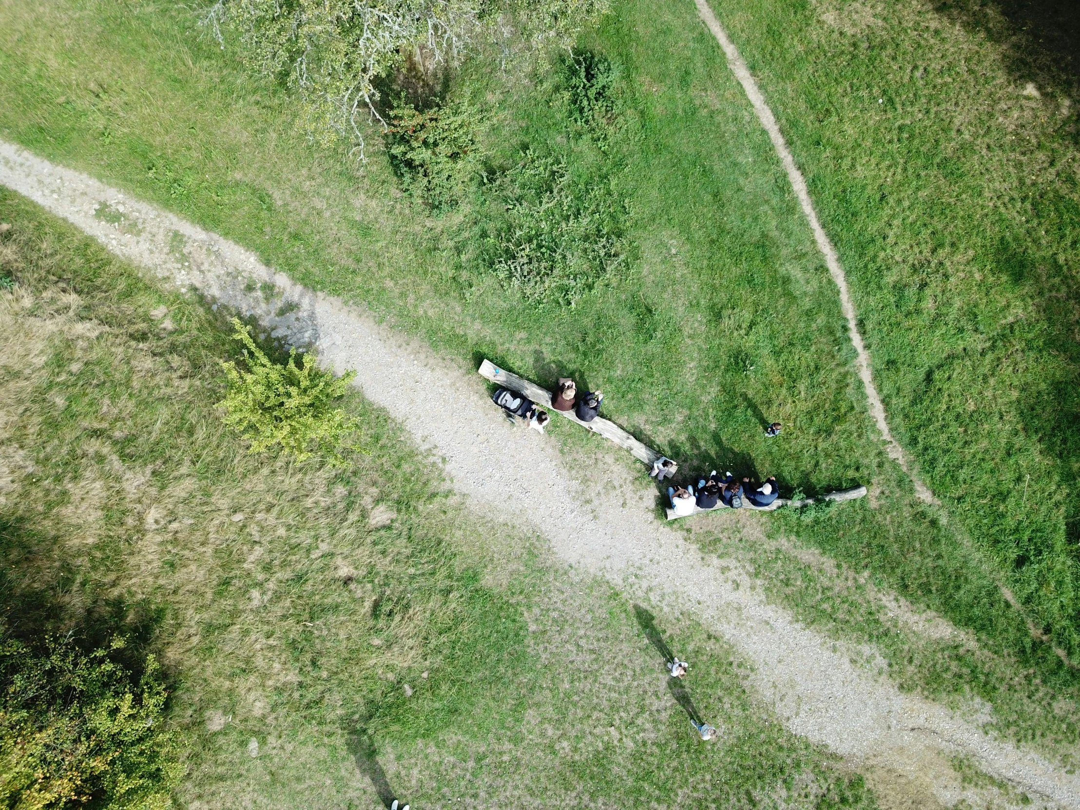 a group of people sitting on top of a lush green field, by Emma Andijewska, land art, fpv, lying on the woods path, walking to the right, crashed in the ground