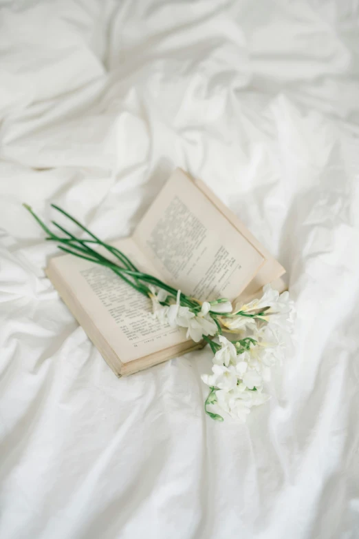 an open book sitting on top of a bed, a still life, by Ruth Simpson, unsplash, romanticism, white flowers, soft skin, dressed in white, 15081959 21121991 01012000 4k