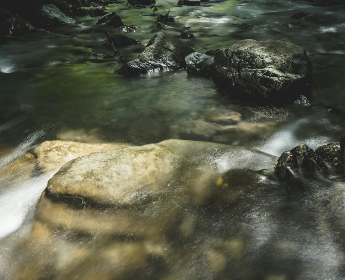 a stream running through a lush green forest, inspired by Elsa Bleda, unsplash contest winner, australian tonalism, floating stones, peacefully drinking river water, alessio albi, today\'s featured photograph 4k