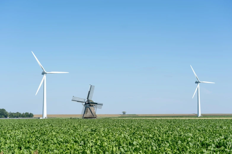 three windmills in a field with a blue sky in the background, by Andries Stock, pexels contest winner, green, high quality product image”, large format picture, iowa
