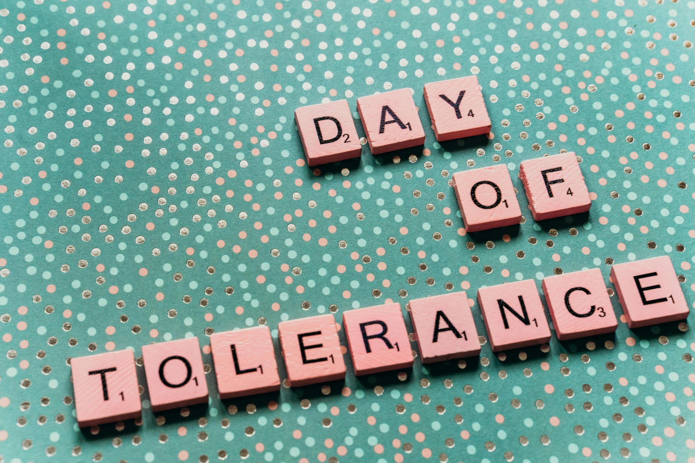 a wooden block with the words day of tolerance written on it, by Ellen Gallagher, pixabay, renaissance, paper cutouts of plain colors, moira from overwatch, 🎀 🍓 🧚, violence