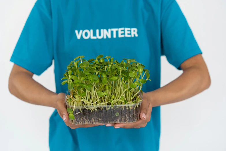 a person in a blue shirt holding a pot of sprouts, an album cover, unsplash, healthcare worker, children's, hydroponic farms, avatar image