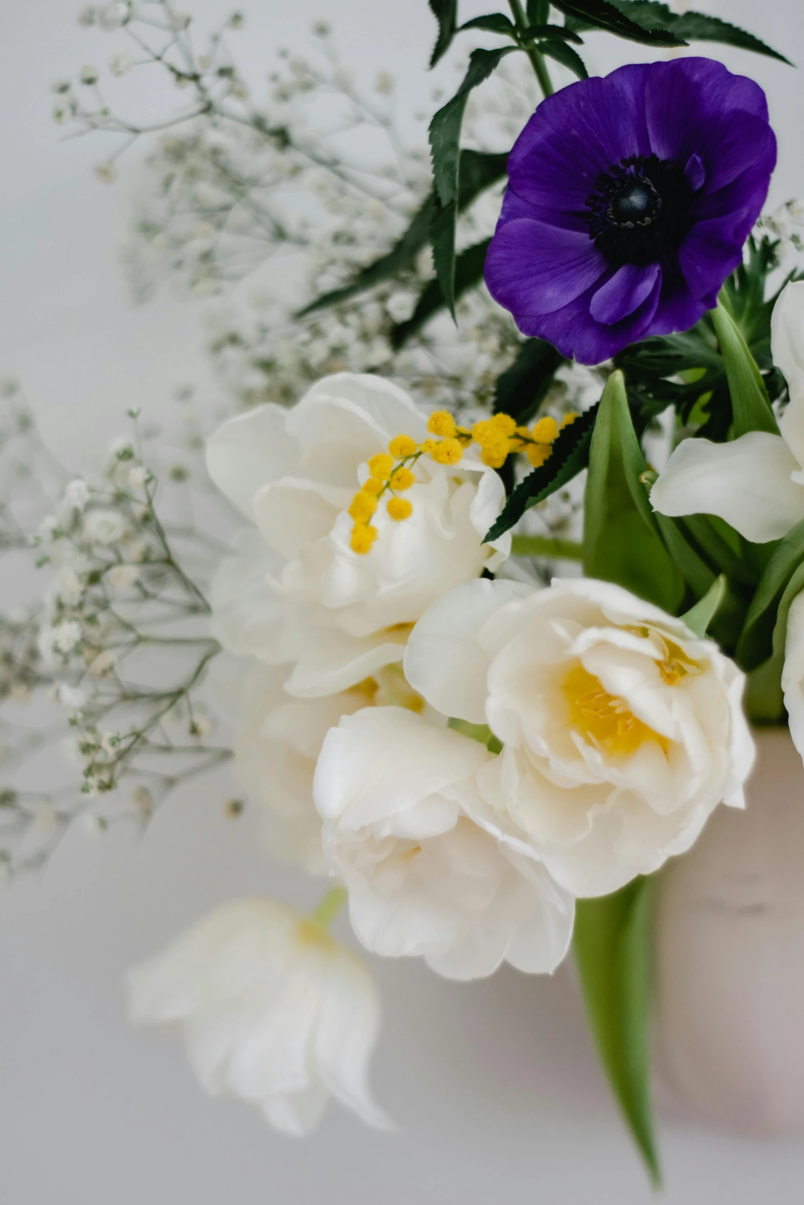 a vase filled with white and purple flowers, inspired by François Boquet, unsplash, medium closeup, white and yellow scheme, small crown, tulip