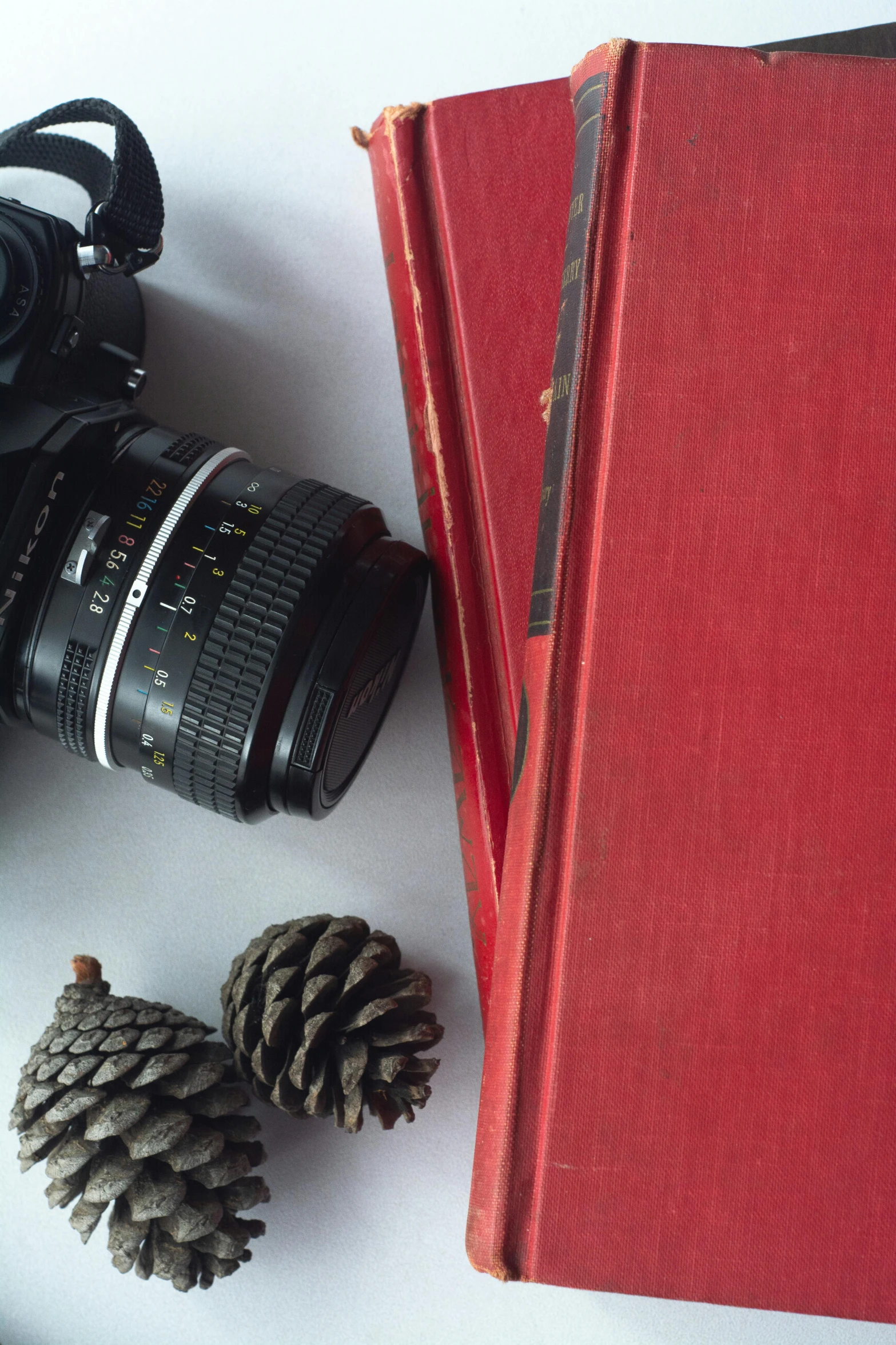 a red book sitting on top of a table next to a camera, a picture, by David Simpson, portrait close up, spines, flatlay, attractive photo