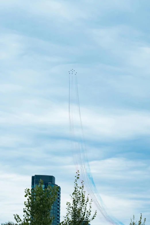 a couple of airplanes that are flying in the sky, massive vertical grand prix race, taken with sony alpha 9, flowers around, bullet shells flying