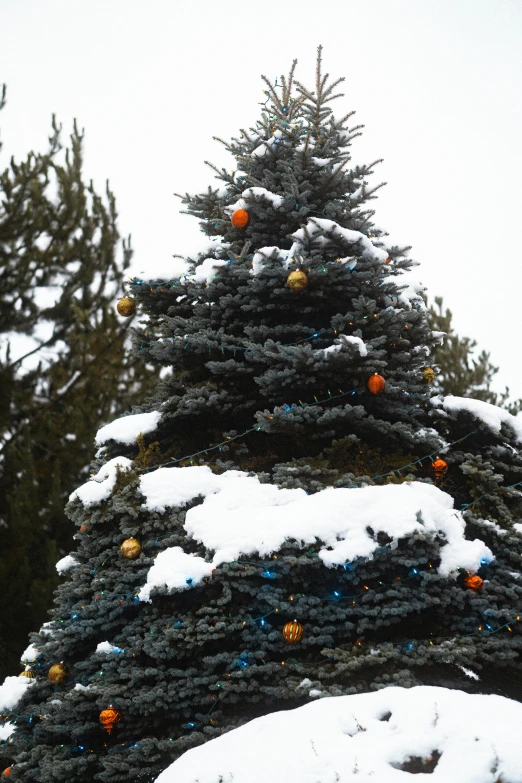 a large christmas tree is covered in snow, by Sven Erixson, blue and orange, medium closeup shot, ornaments, square
