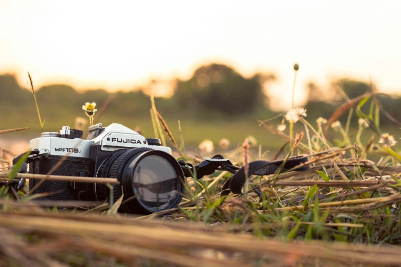 a camera sitting on top of a grass covered field, unsplash, photorealism, medium format. soft light, golden hour photo, canon a1, photography”