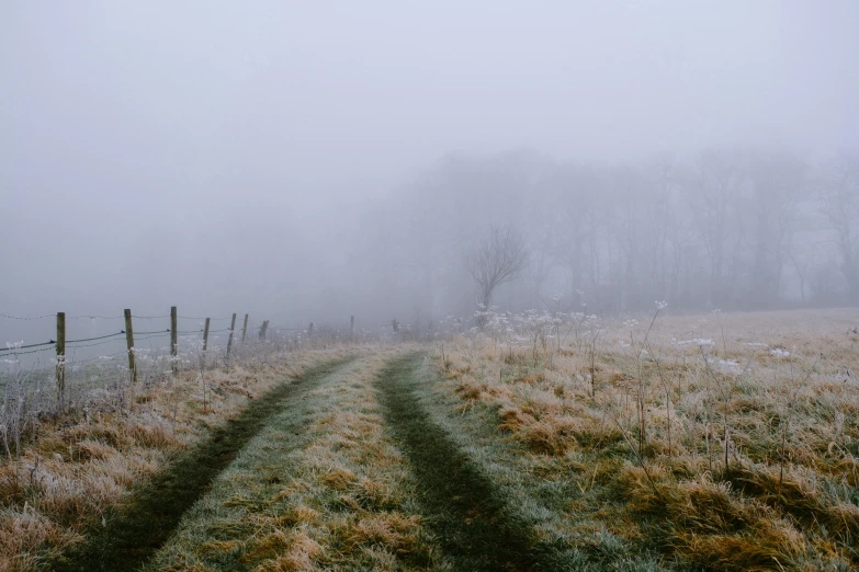 a dirt road next to a fence on a foggy day, an album cover, inspired by Elsa Bleda, pexels contest winner, snowy woodland meadow, background image, gray, foggy room