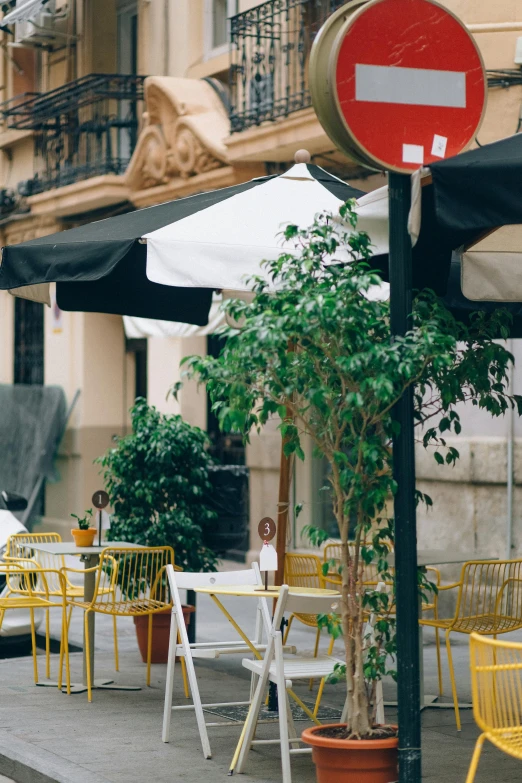 a red stop sign sitting on the side of a road, by Julia Pishtar, trending on unsplash, art nouveau, cafe tables, seville, yellow parasol, building cover with plant