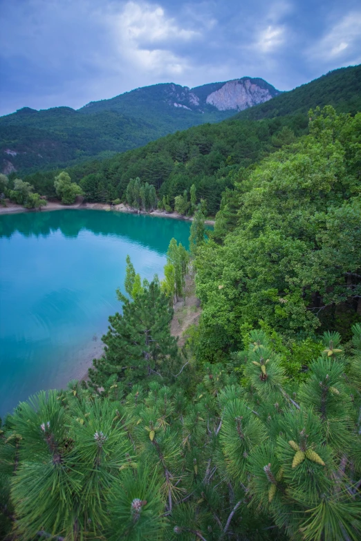 a large body of water surrounded by trees, by Cedric Peyravernay, les nabis, mount olympus, lake blue, null, square