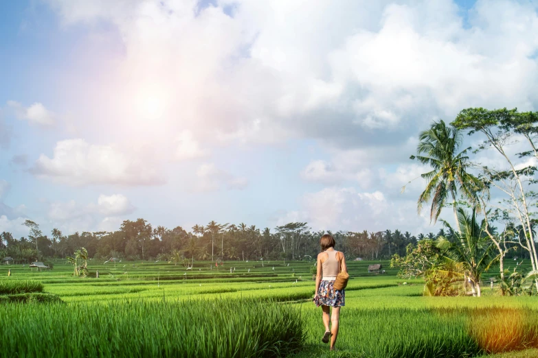 a man walking through a lush green field, inspired by Steve McCurry, happening, bali, avatar image, panoramic view of girl, sunny afternoon