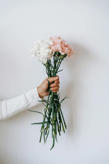 a person holding a bunch of flowers against a white wall, by Elsie Few, unsplash, carnation, light cream and white colors, reaching out to each other, three colors