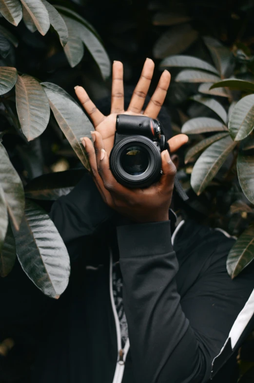 a person taking a picture with a camera, amongst foliage, hands shielding face, hasselblad quality, unsplash photography