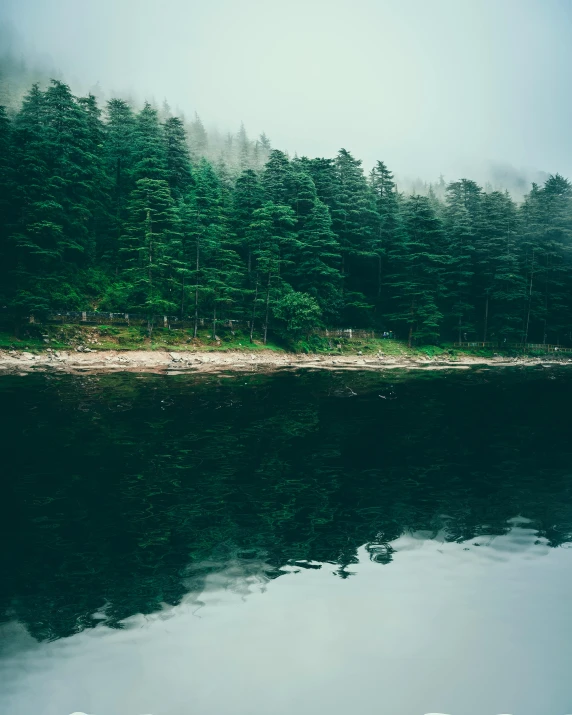 a body of water surrounded by trees on a foggy day, green sea, full of mirrors, bright nordic forest