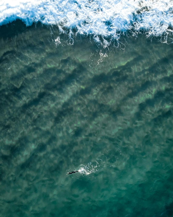 a person riding a surfboard on top of a wave, by Peter Churcher, unsplash contest winner, birds eye view, thumbnail, swimming to surface, manly