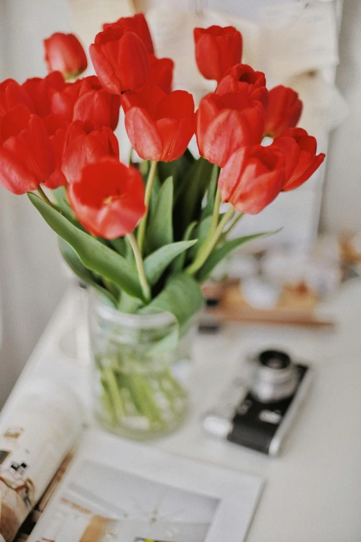 a vase filled with red tulips sitting on a table, pexels contest winner, romanticism, soft natural light, lipstick, honey, cozy