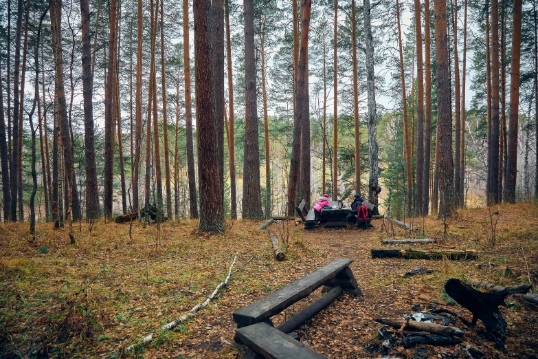 a couple of people sitting on a bench in the woods, by Jaakko Mattila, hurufiyya, outdoor campfire pit, panoramic view of girl, instagram photo, 000 — википедия