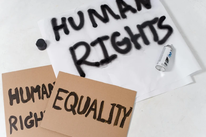 a couple of signs sitting on top of a table, feminist art, background image, gay rights, calligraphy, government archive photograph