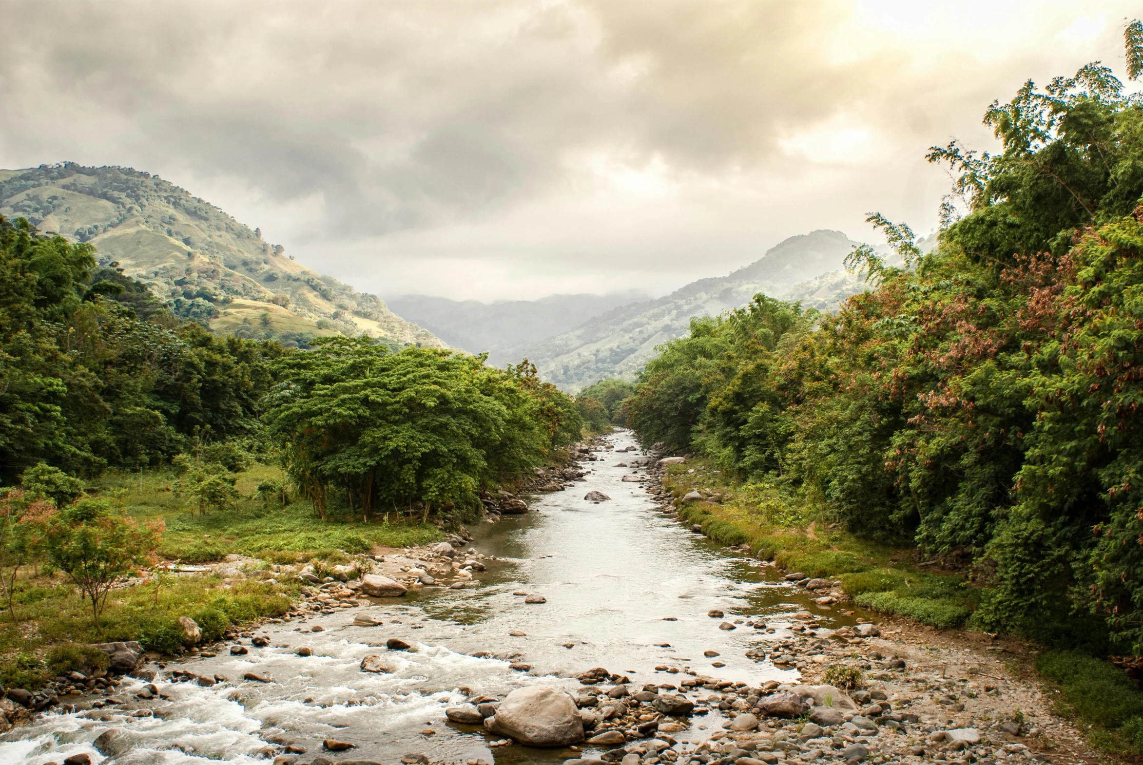 a river running through a lush green forest, inspired by Ceferí Olivé, sumatraism, city of armenia quindio, fan favorite, a cozy, mountains