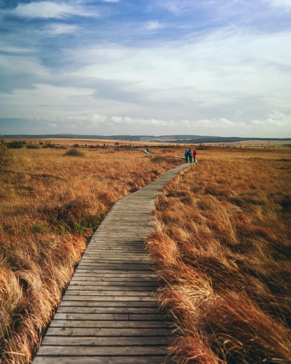 two people walking on a boardwalk in a field, by Emma Andijewska, pexels contest winner, land art, brown, an expansive grassy plain, thumbnail, wide high angle view