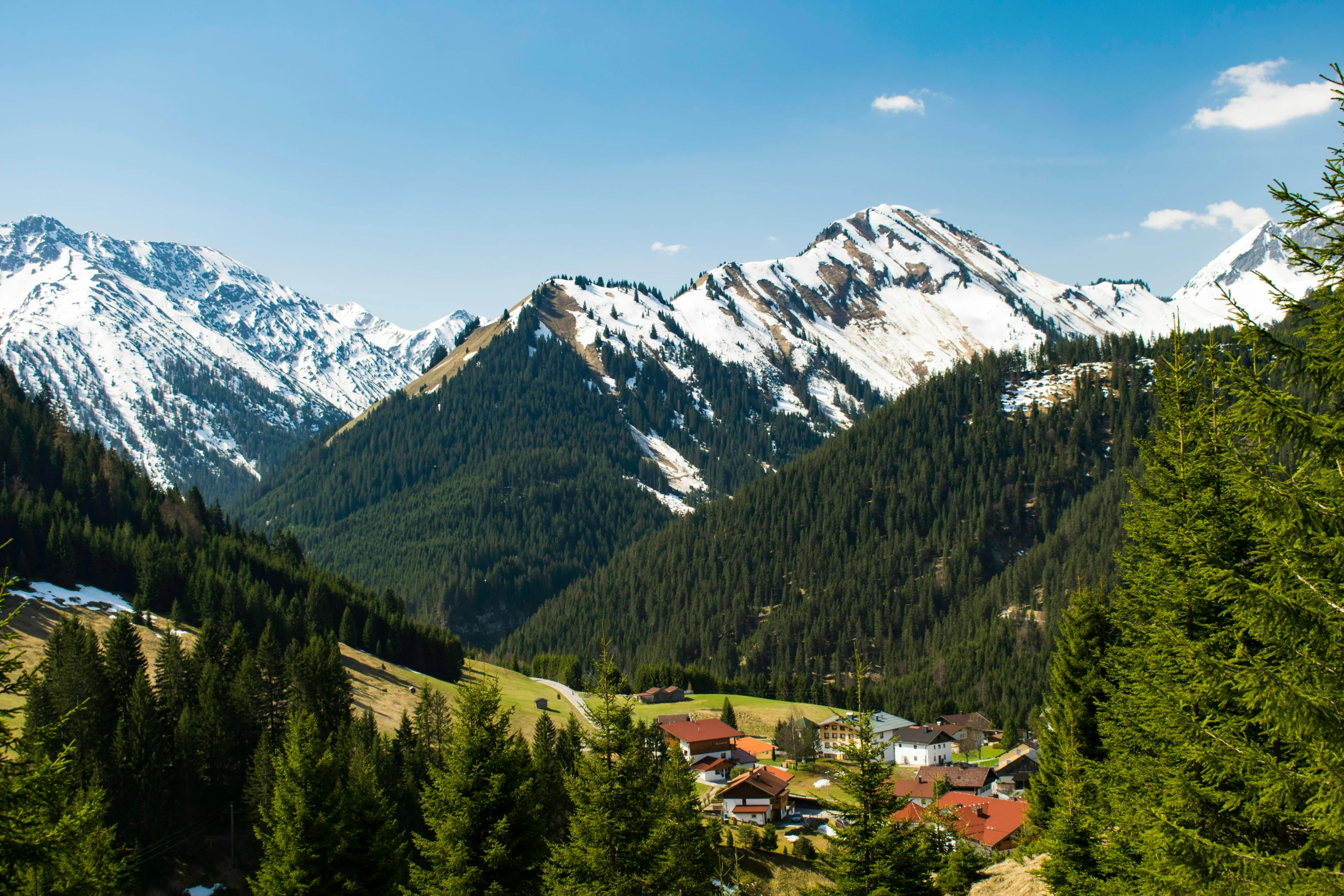 a view of a small village in the mountains, by Sebastian Spreng, pexels contest winner, renaissance, spruce trees, avatar image, panoramic, fan favorite