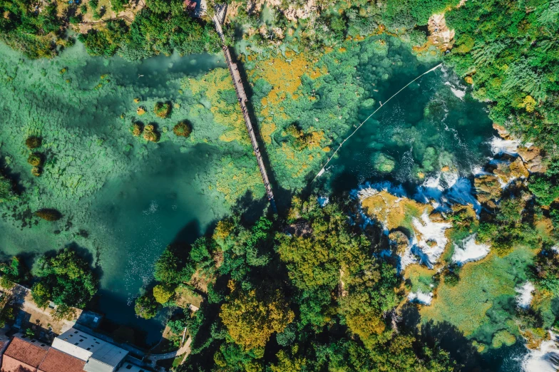a river running through a lush green forest, by Niko Henrichon, pexels contest winner, hurufiyya, aerial view of an ancient land, bridge over the water, croatian coastline, floathing underwater in a lake