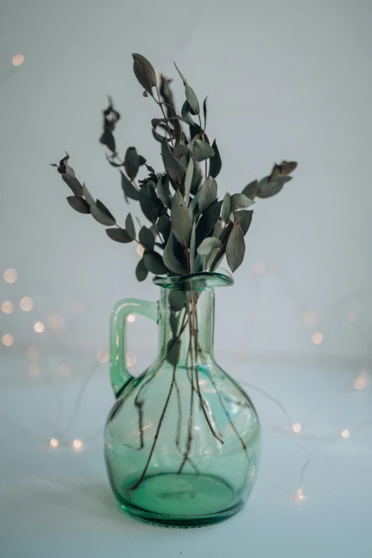 a green glass vase sitting on top of a table, a colorized photo, trending on pexels, made of dried flowers, beautifully soft lit, branches and foliage, watering can