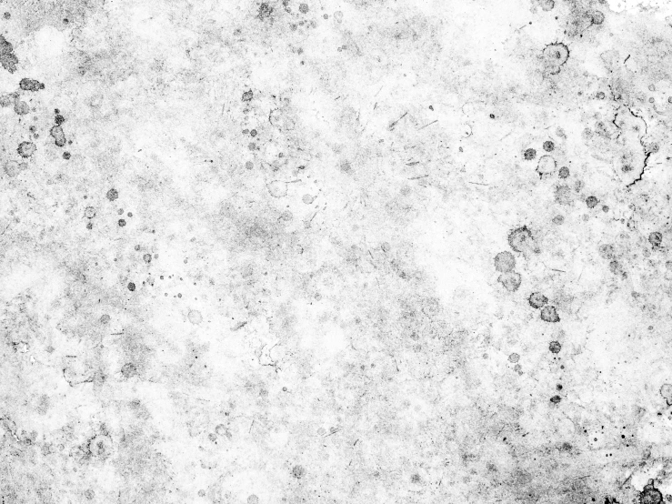 a black and white photo of a dirty wall, ink dots, ink on parchment, background image, clean white lab background