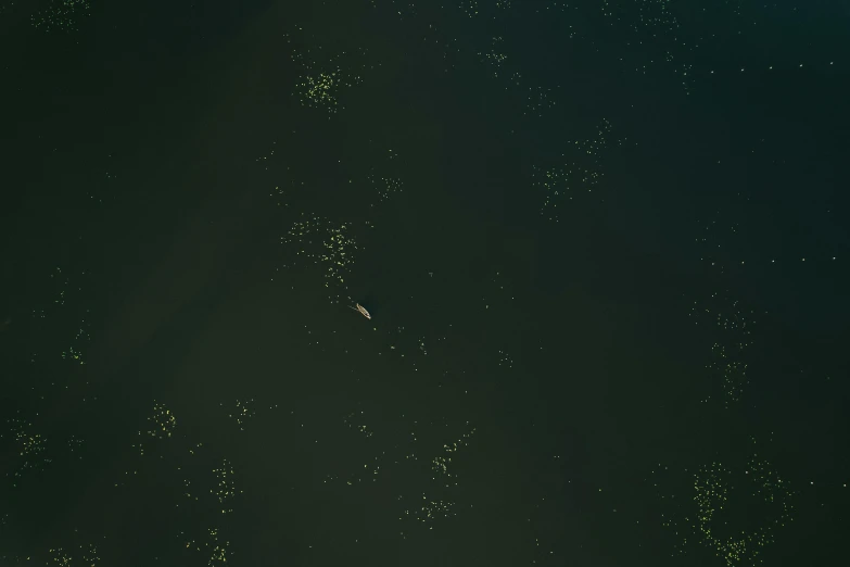a small boat floating on top of a body of water, a microscopic photo, unsplash, space art, swampy atmosphere, mobile game background, low quality grainy, some fireflies