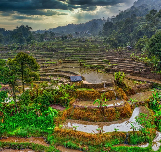 a view of a rice field from the top of a hill, inspired by Erik Pevernagie, pexels contest winner, sumatraism, intense dramatic hdr, tribe huts in the jungle, gray, terraces