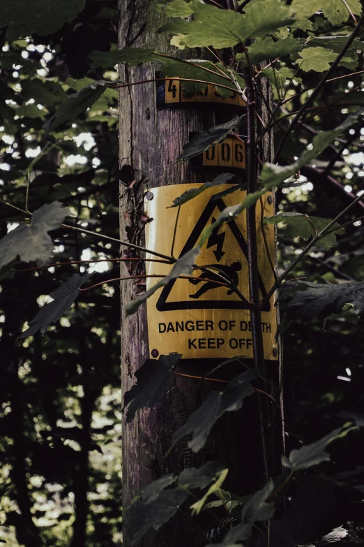 a yellow sign sitting on top of a wooden pole, pexels, graffiti, the horror in the woods, electric cables, taken with kodak portra, digging