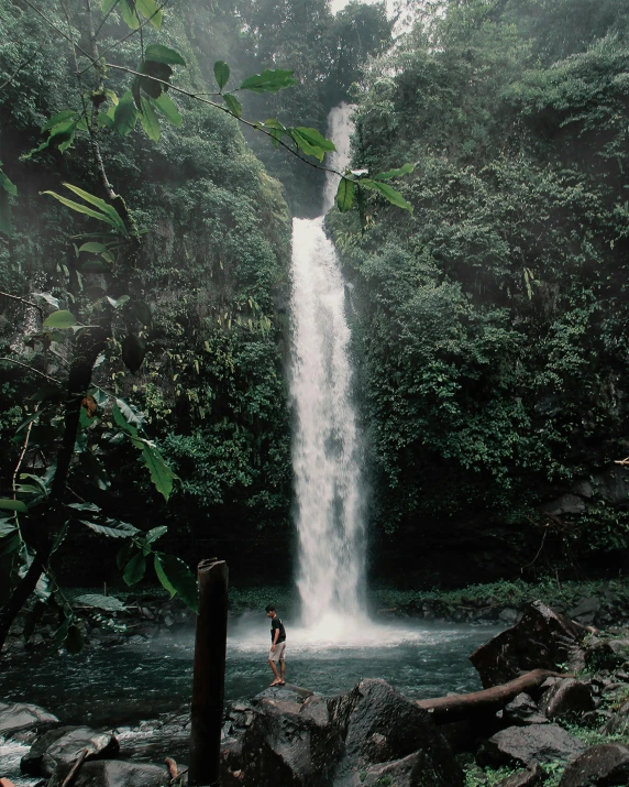 a person standing in front of a waterfall, inspired by Elsa Bleda, unsplash contest winner, sumatraism, with a tall tree, lush paradise, historical photo, vacation photo