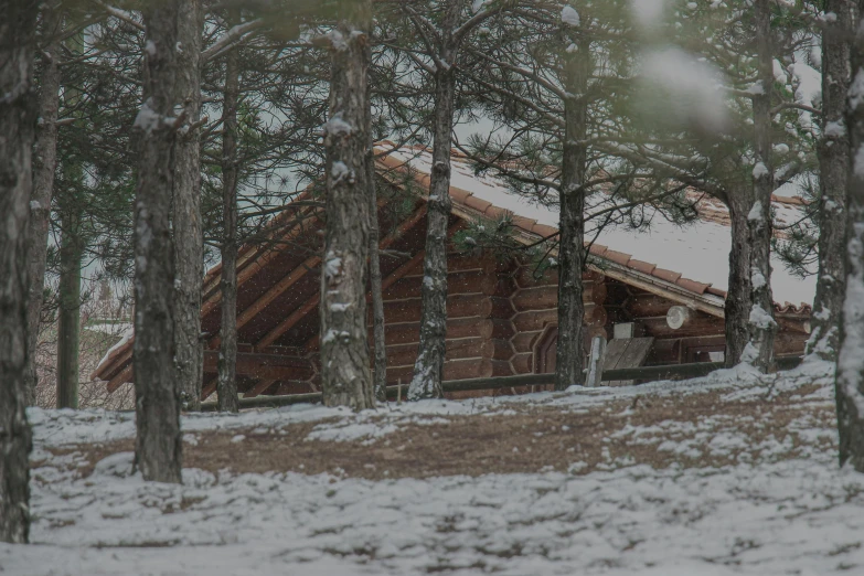 a cabin in the woods with snow on the ground, renaissance, arrendajo in avila pinewood, promo image, stacked image, camp