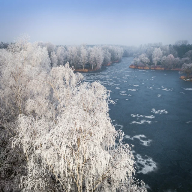 a body of water surrounded by trees covered in snow, by Sebastian Spreng, pexels contest winner, romanticism, great river, ice dust, thumbnail, detailed photo 8 k