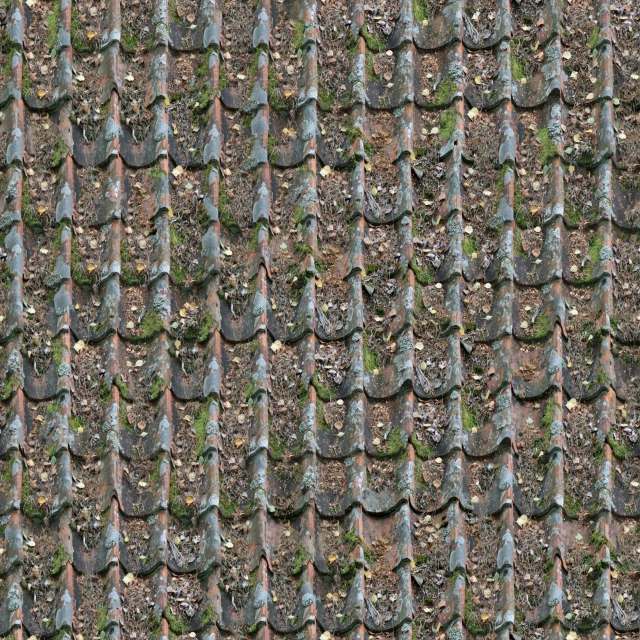 a close up of a roof with moss growing on it, a digital rendering, by Jens Jørgen Thorsen, stereogram, vintage - w 1 0 2 4, rusty, flat