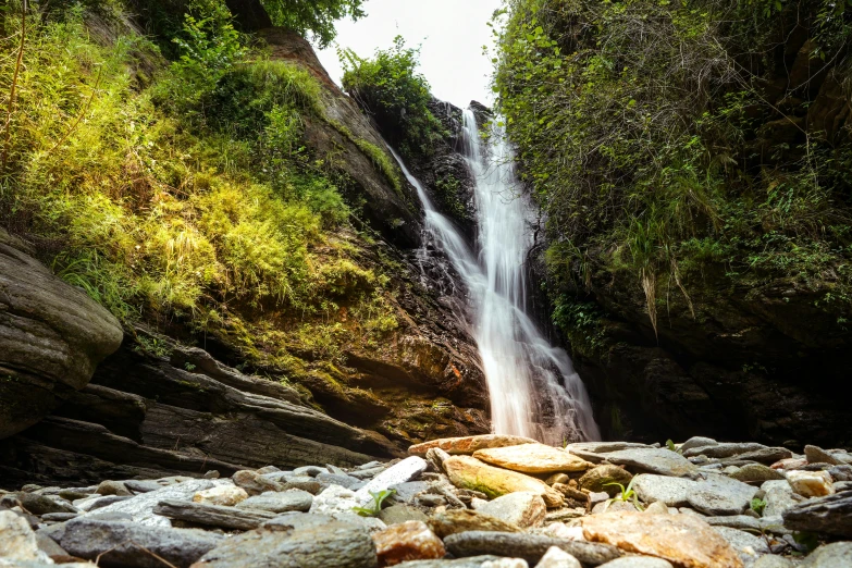 a waterfall flowing through a lush green forest, by Muggur, unsplash, hurufiyya, 3/4 view from below, georgic, 2000s photo, high quality product image”