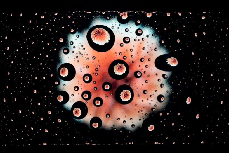 a close up of water droplets on a window, a microscopic photo, inspired by Ross Bleckner, generative art, pink floyd album cover, 👁🌹👾, cryogenic pods, with a black background