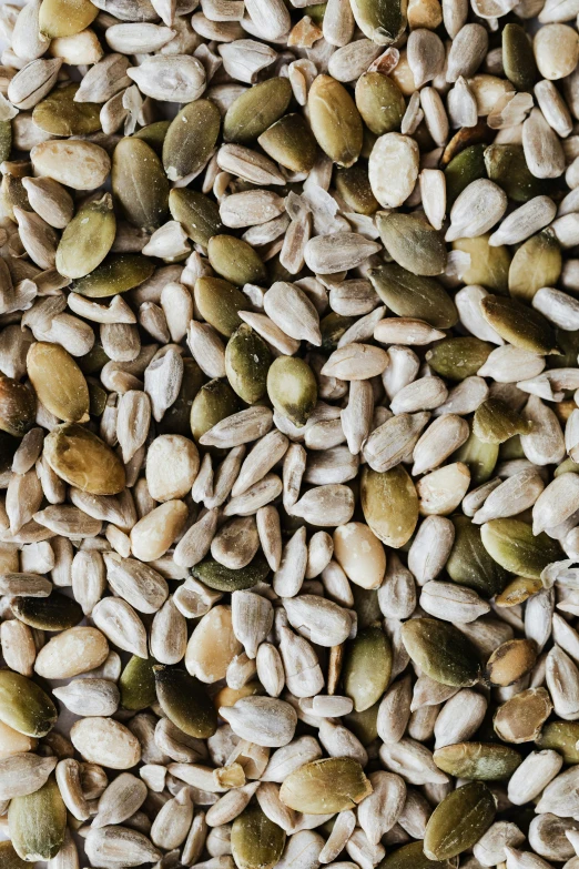 a pile of seeds sitting on top of a table, buzzed sides, pumpkin, detailed product image, up close image