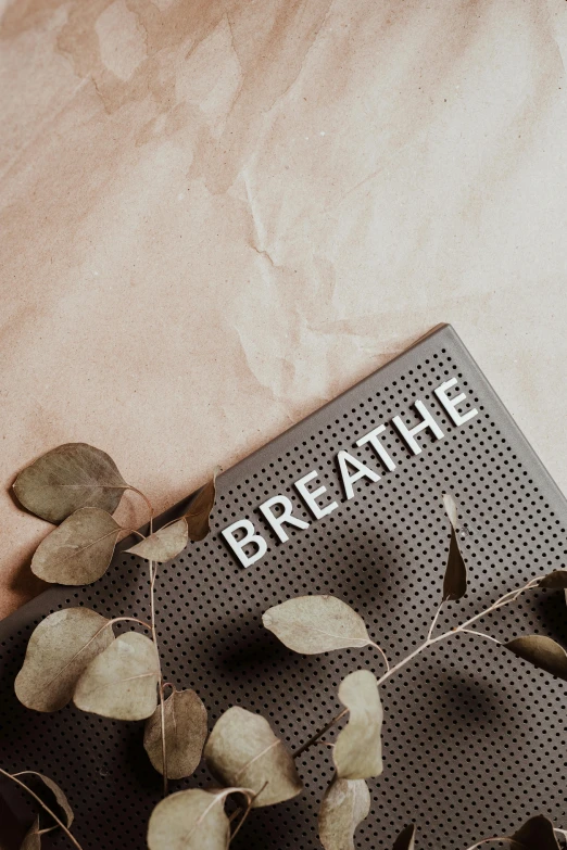 a book sitting on top of a table next to a plant, by Hannah Tompkins, trending on unsplash, graffiti, breathe, perforated metal, eucalyptus, profile image