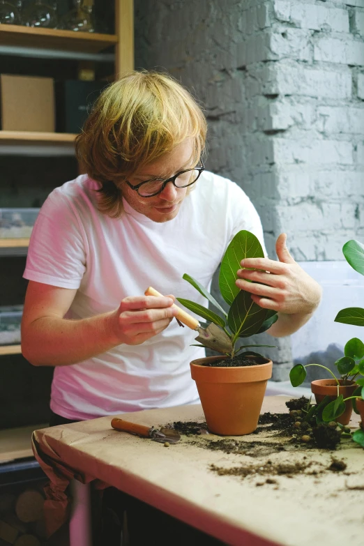 a person sitting at a table with a potted plant, using a spade, carefully crafted, blonde man, lush botany