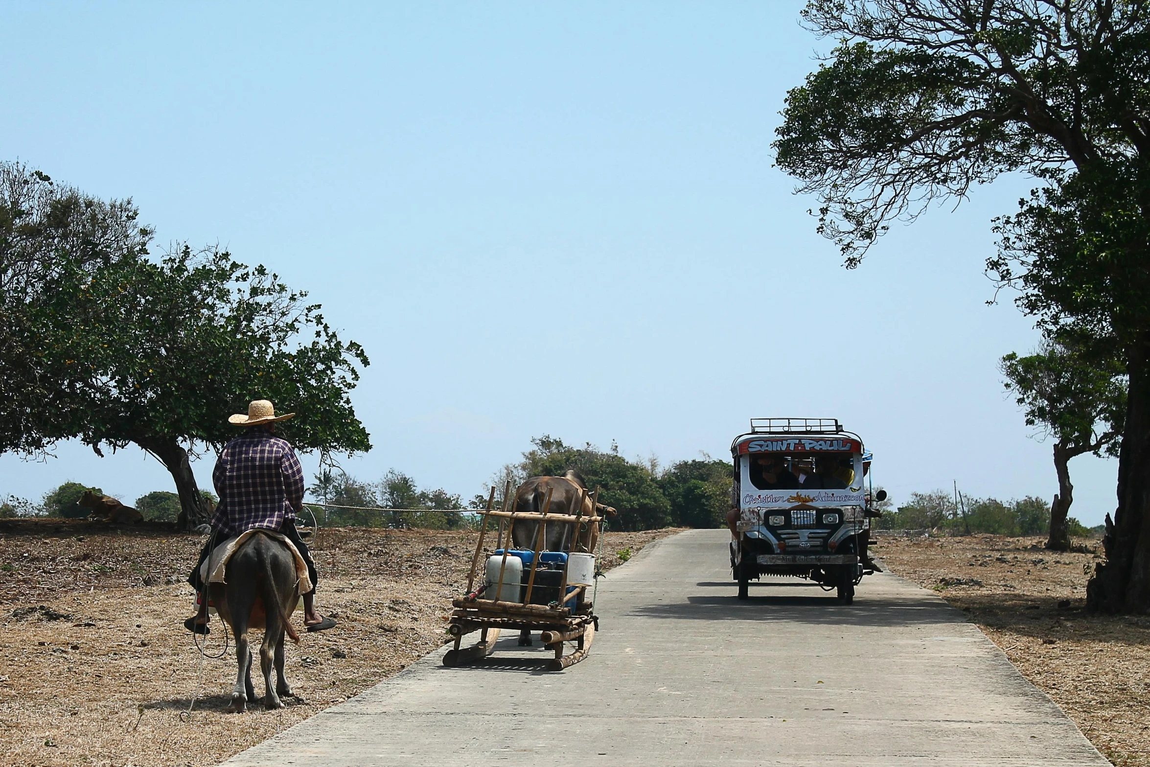 a man riding on the back of a horse next to a truck, by Hannah Tompkins, flickr, mingei, philippines, background image, wide greenways, road to the sea