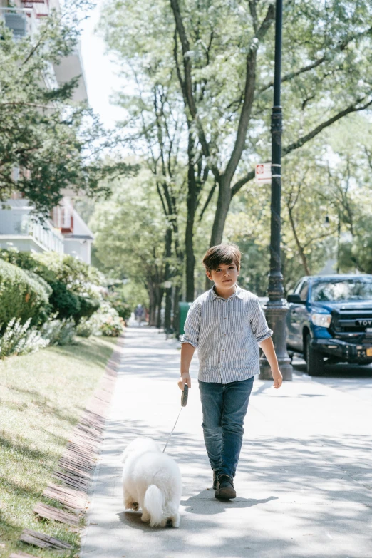 a boy walking a white dog down a sidewalk, unsplash, american barbizon school, holding a cane, brooklyn, looking confident, wide-shots