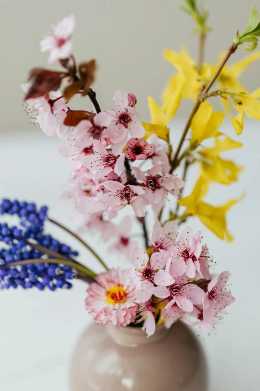 a close up of a vase with flowers in it, cherry blossums, mix, lightweight, early spring