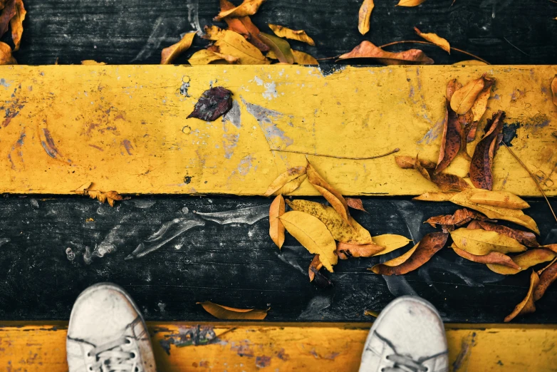 a person standing on top of a wooden bench covered in leaves, trending on pexels, graffiti, yellow charcoal, sneaker photo, textured, thumbnail