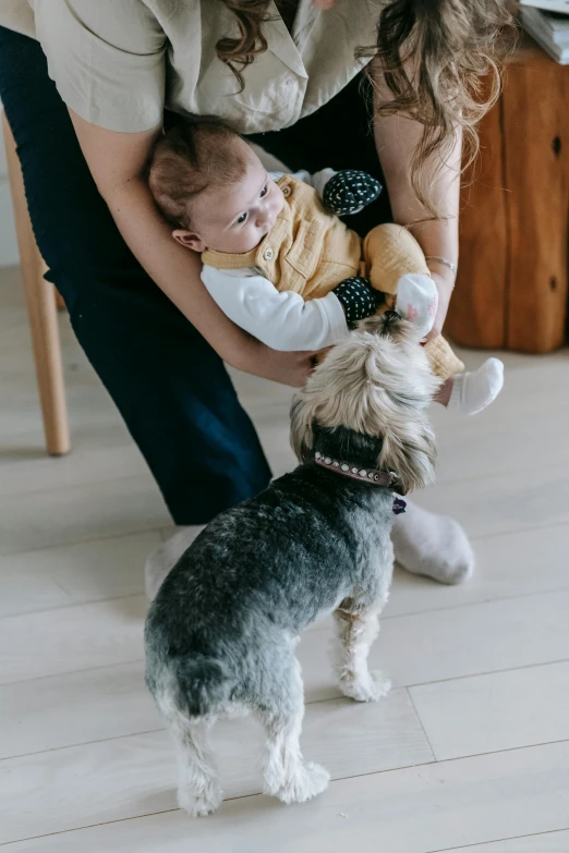 a woman holding a baby and a dog, pexels contest winner, modernism, indoor scene, grey, manuka, loosely cropped