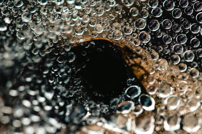 a close up of the inside of a spider web, a macro photograph, by Matt Cavotta, trending on pexels, photorealism, droplets flow down the bottle, charcoal and champagne, fish eye, water pipe