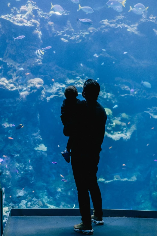 a man and a child standing in front of a large aquarium, unsplash contest winner, romanticism, deep blue ocean color, gazing off into the horizon, zoo, back - lit