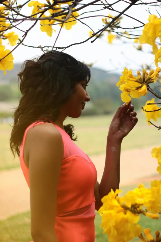 a woman standing under a tree with yellow flowers, sri lankan landscape, freida pinto, looking off into the distance, pink and yellow